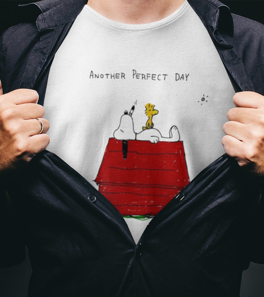 Snoopy And Woodstock Relaxing On Doghouse Perfect Day T-Shirt