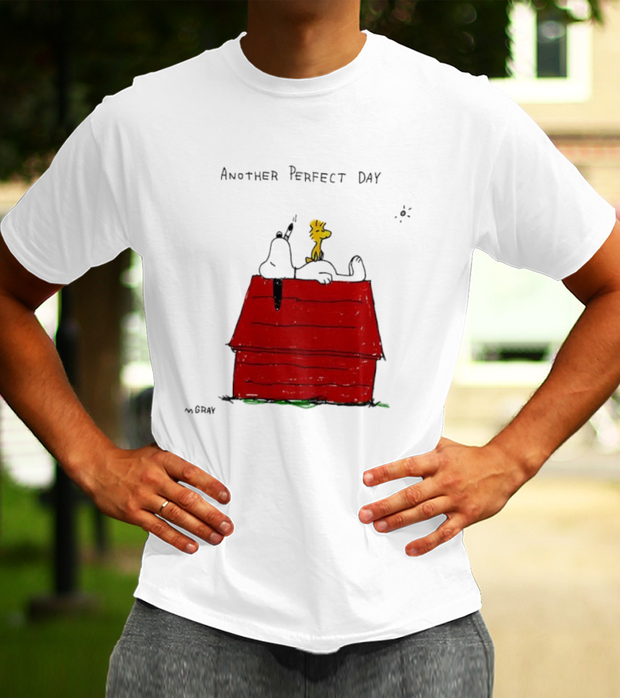 Snoopy And Woodstock Relaxing On Doghouse Perfect Day T-Shirt