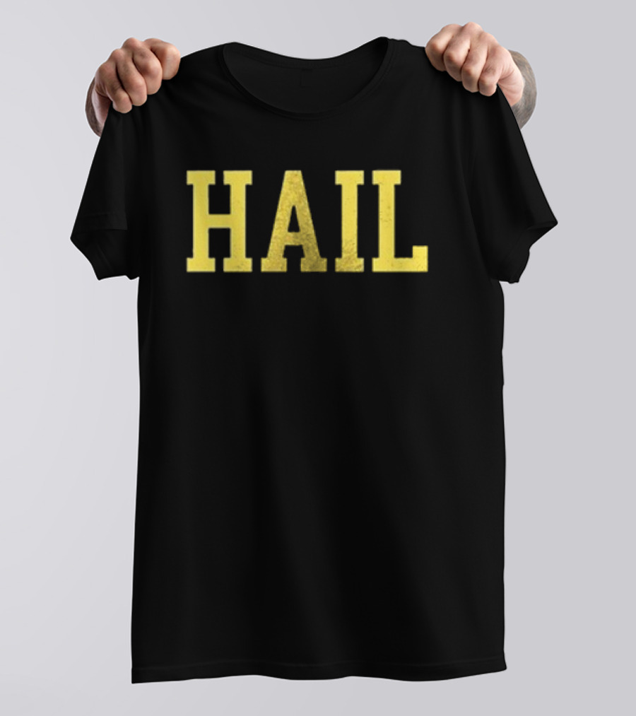 Valiant Michigan Wolverines Football Hail Hail Hail Repeat T-Shirt