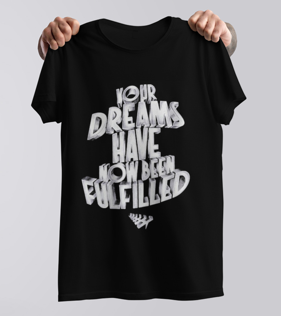 Your Dreams Have Been Fulfilled Paper Planes Heart Icon T-Shirt