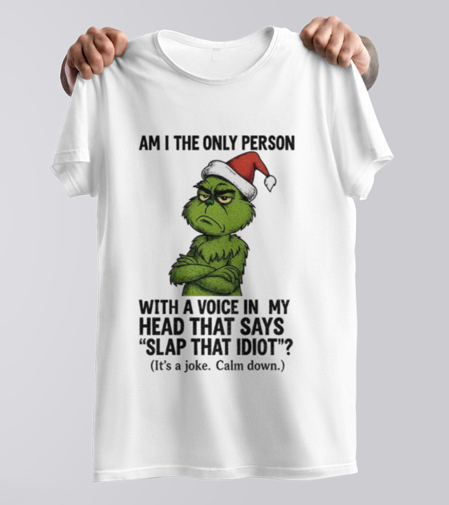 Grinch Santa Hat Am I The Only Person With A Voice In My Head That Says Slap That Idiot Christmas T-Shirt