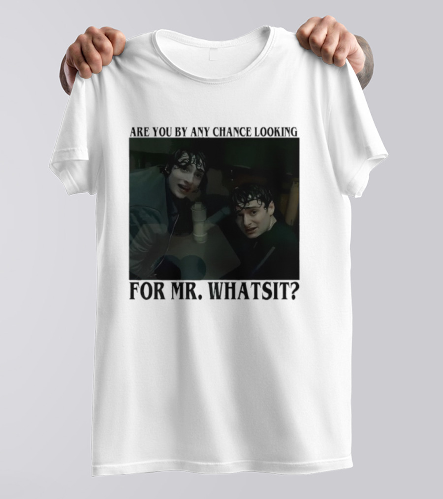 Mike And Will Are You By Any Chance Looking For Mr. Whatsit Stranger 1980s Adventure Fantasy T-Shirt