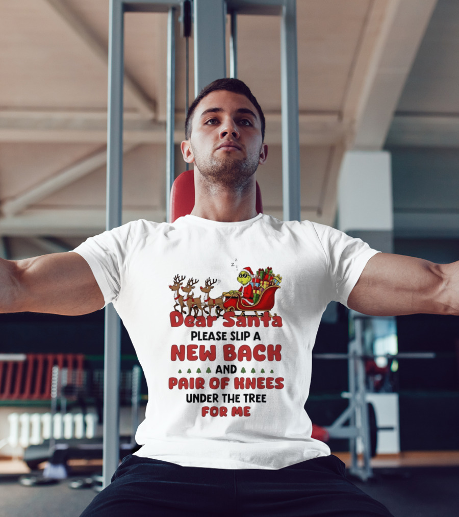 Dear Santa Grinch New Back Pair Of Knees Christmas Humor T-Shirt