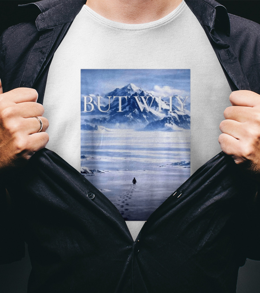 But Why Penguin Mountains T-Shirt
