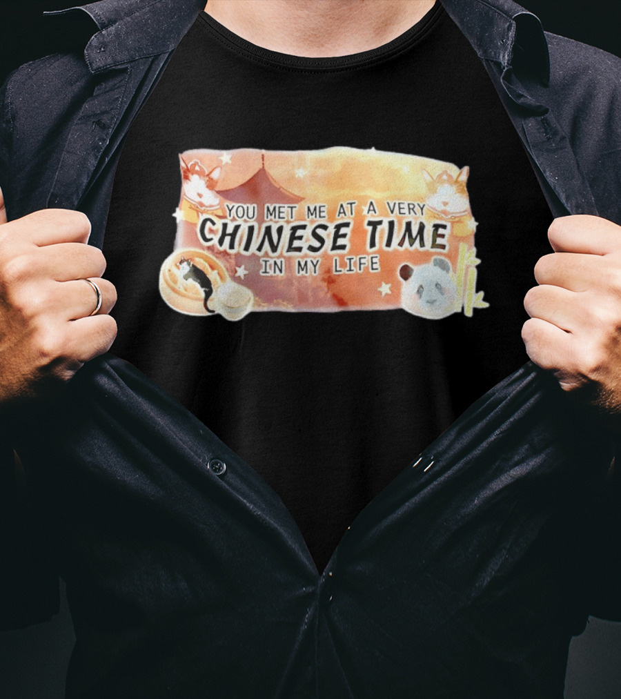 You Met Me At A Very Chinese Time Panda Dumplings Chopsticks Cat Pagoda T-Shirt