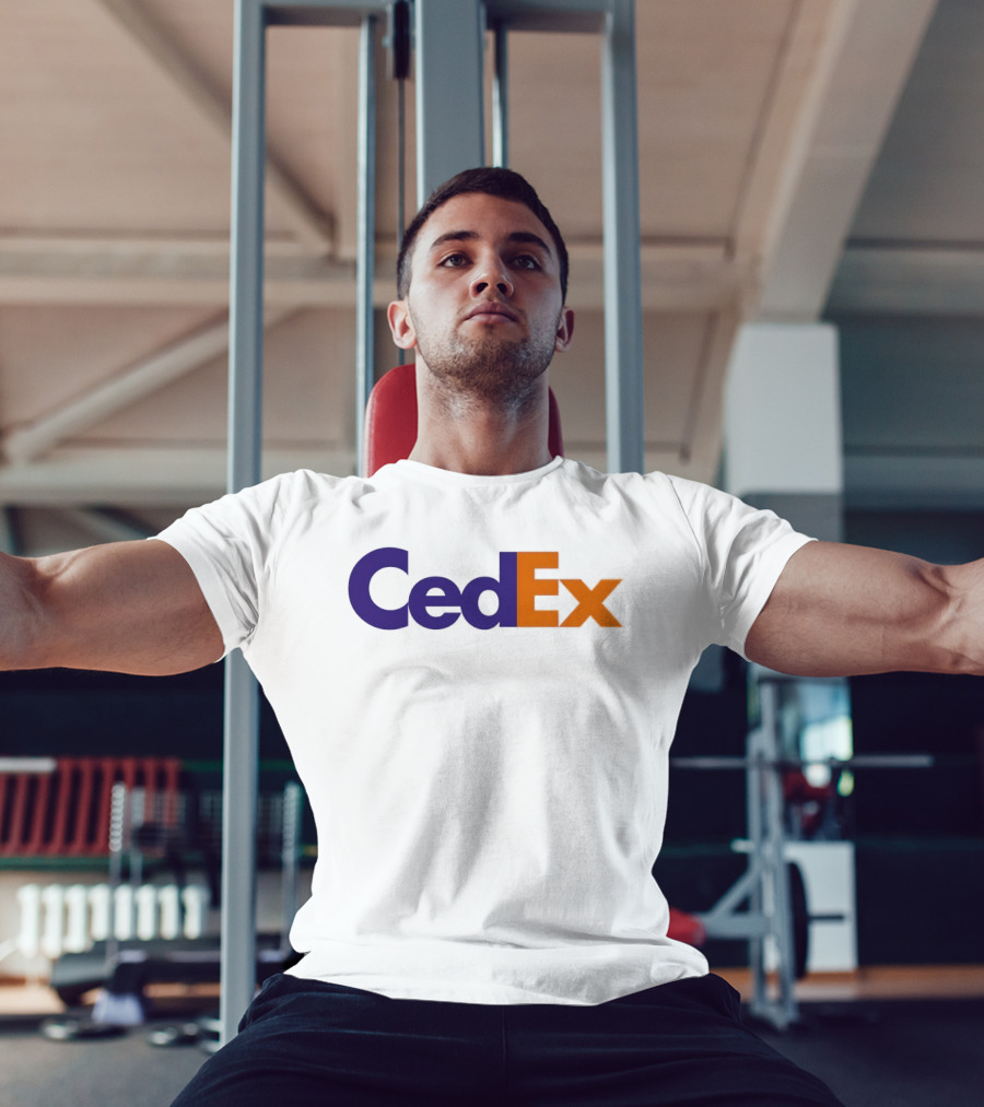 CedEx Playful Mashup T-Shirt