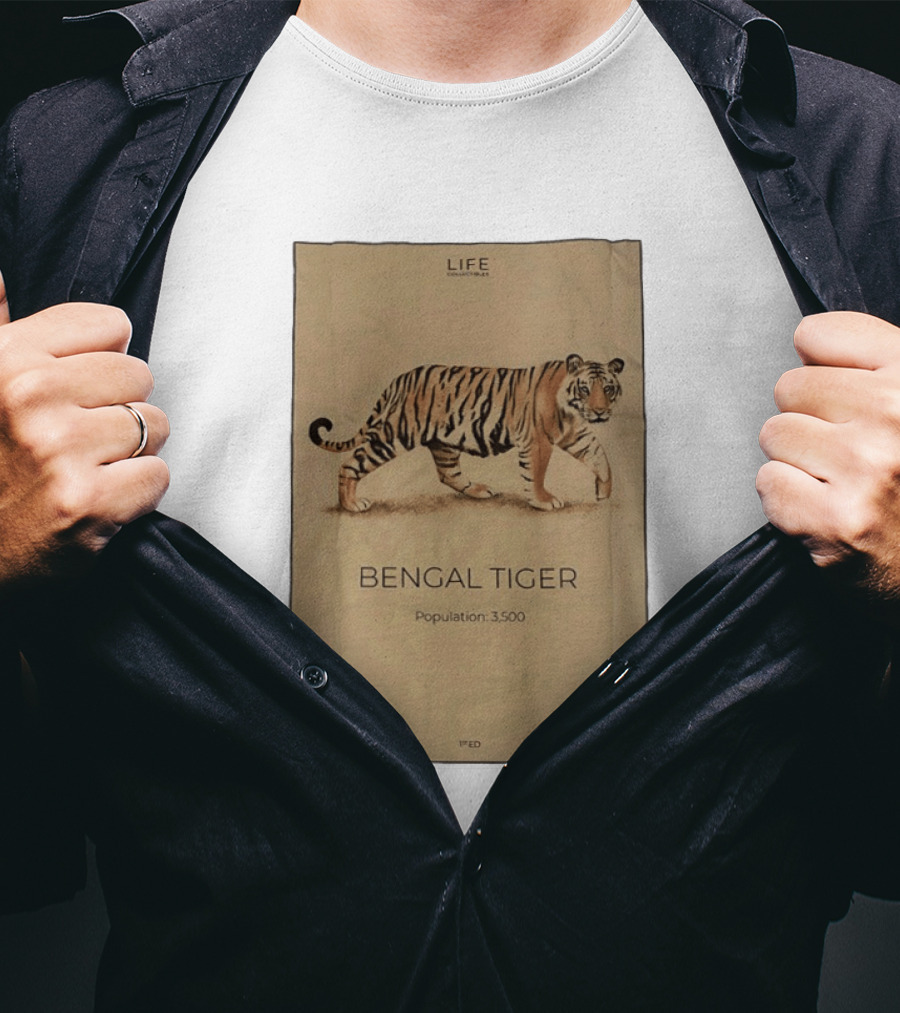 Life Collections Bengal Tiger Population 3,500 1st Ed T-Shirt