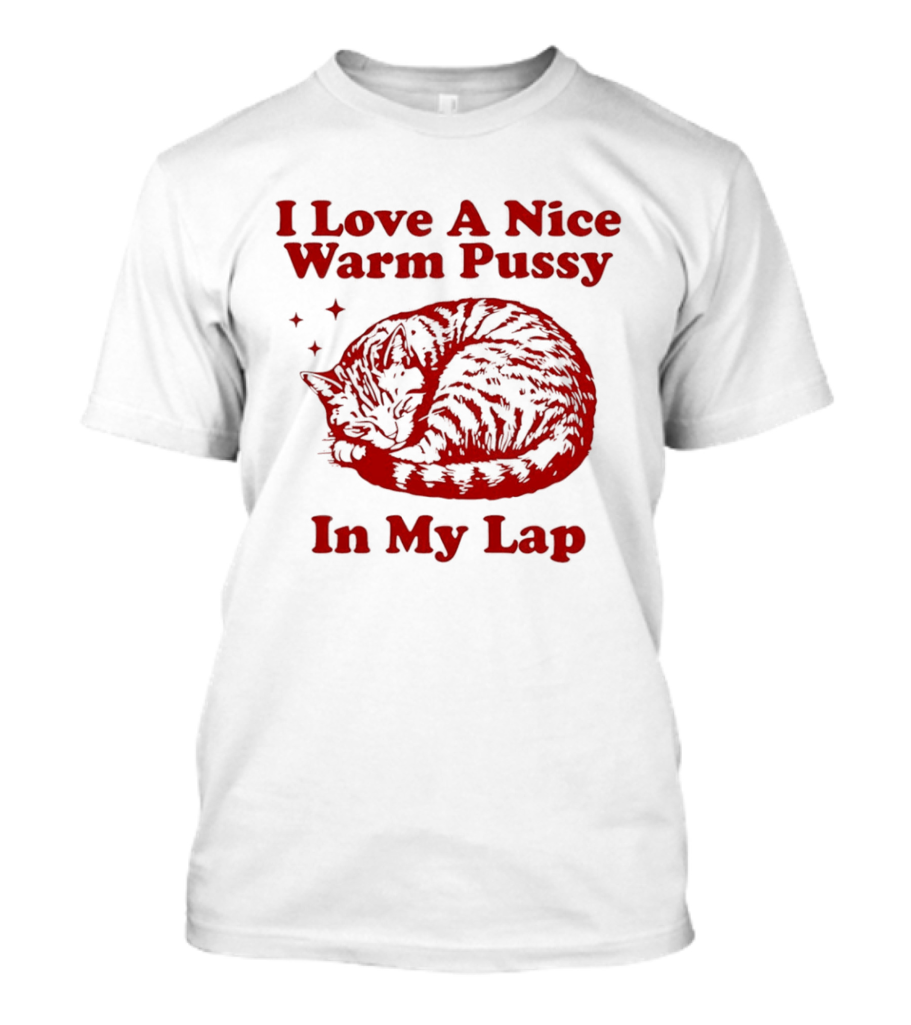 I Love A Nice Warm Pussy In My Lap Cat T-Shirt