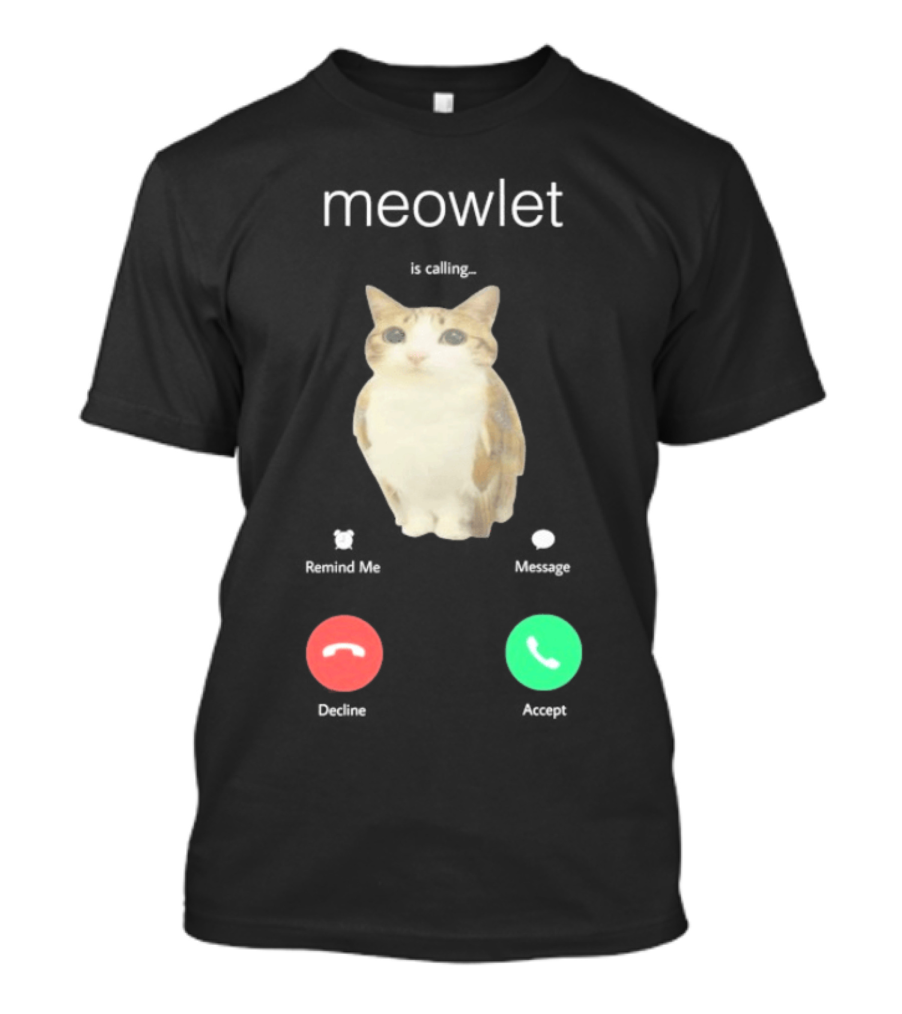 Meowlet Is Calling Remind Me Message Decline Accept Cat Image T-Shirt