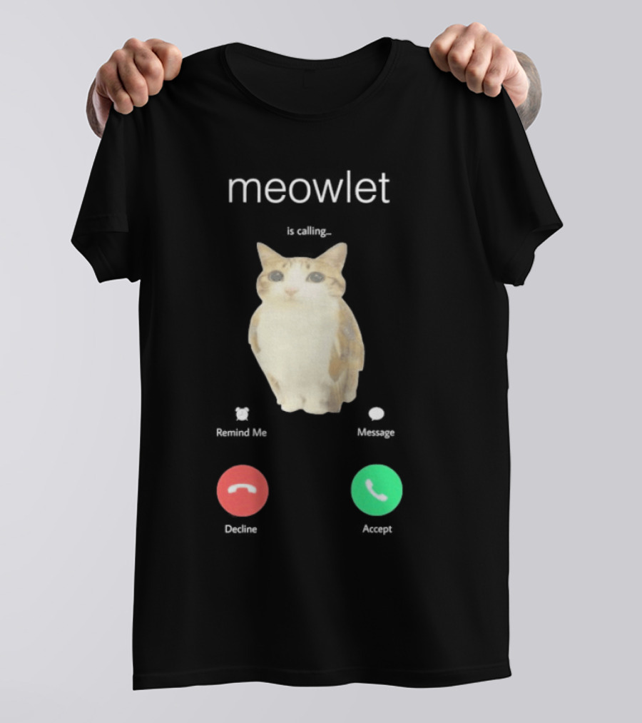 Meowlet Is Calling Remind Me Message Decline Accept Cat Image T-Shirt