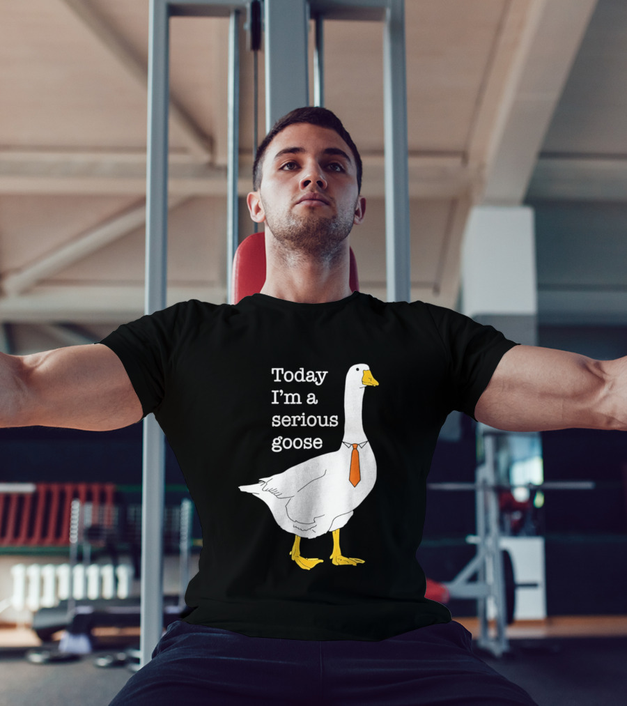 Today I'm A Serious Goose T-Shirt