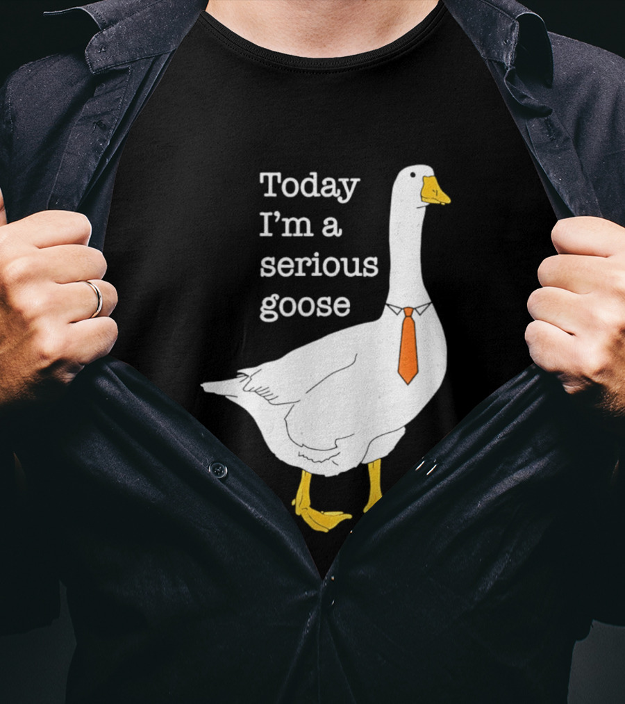 Today I'm A Serious Goose T-Shirt