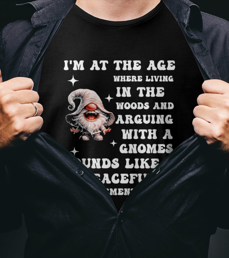 I'm At The Age Where Living In The Woods And Arguing With A Gnome Sounds Like A Peaceful Retirement Plan T-Shirt