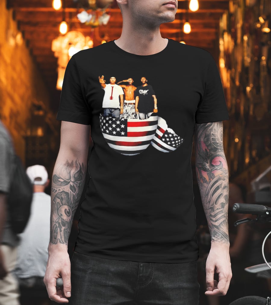 Pharrell Williams Chad Hugo Shae Haley USA Flag Egg Superimposed Image T-Shirt