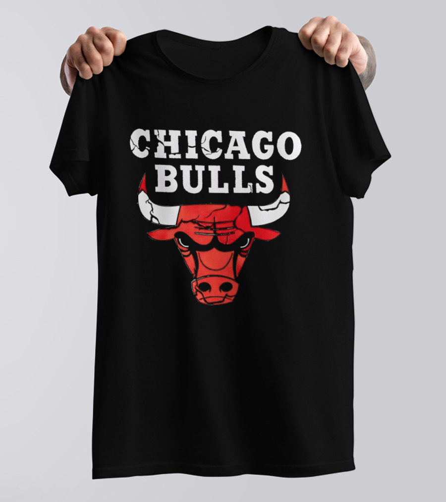 Chicago Bulls Red Bull Head Iconic NBA Team T-Shirt