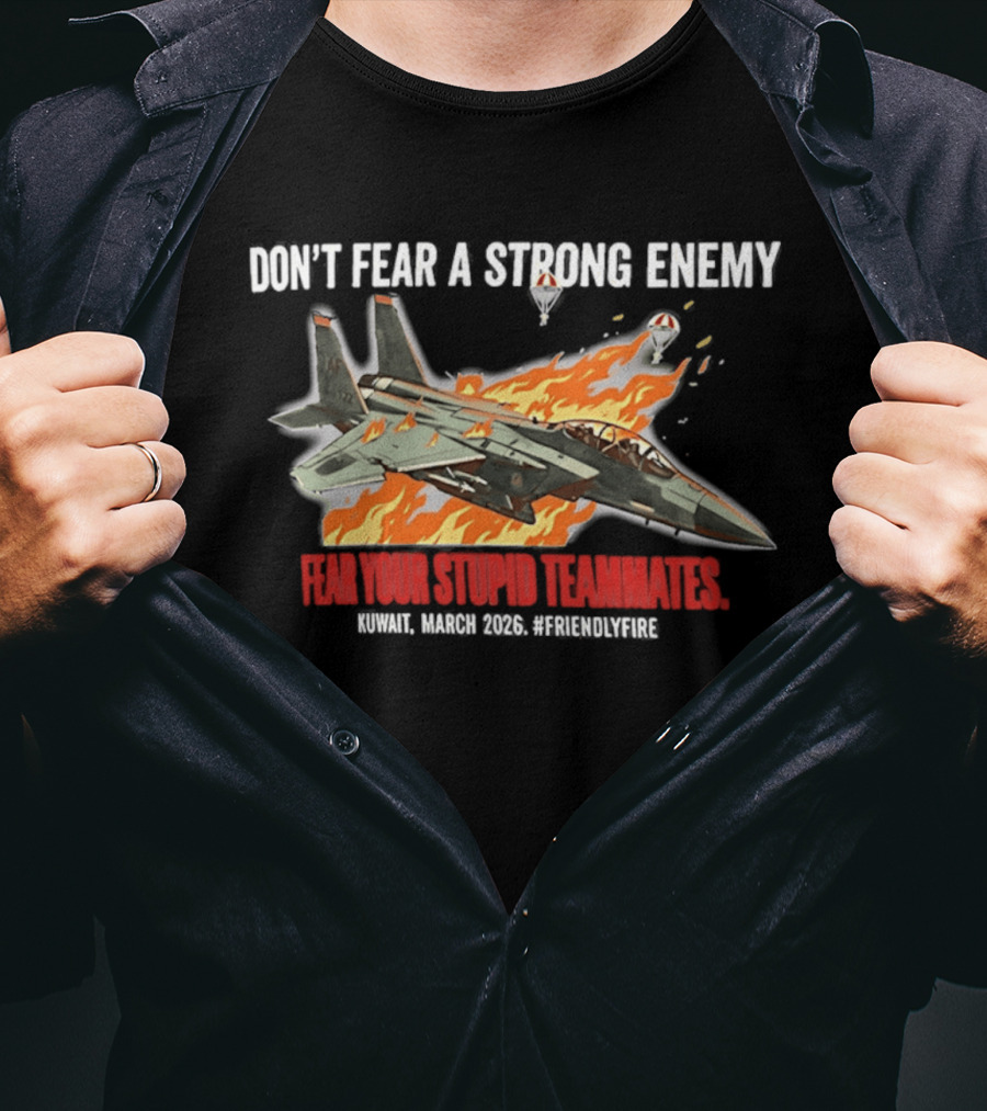 F 15e Strike Eagle Don't Fear A Strong Enemy Fear Your Stupid Teammates 2026 T-Shirt