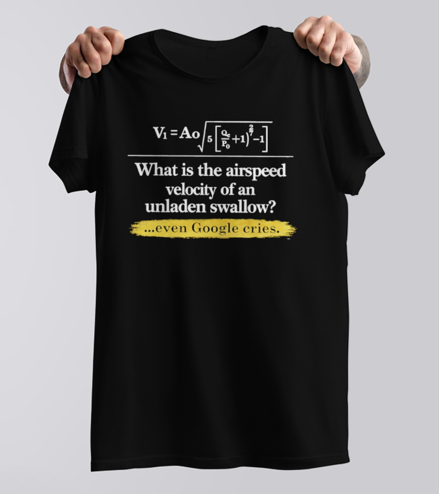 V1 Ao Formula What Is The Airspeed Velocity Of An Unladen Swallow Even Google Cries T-Shirt