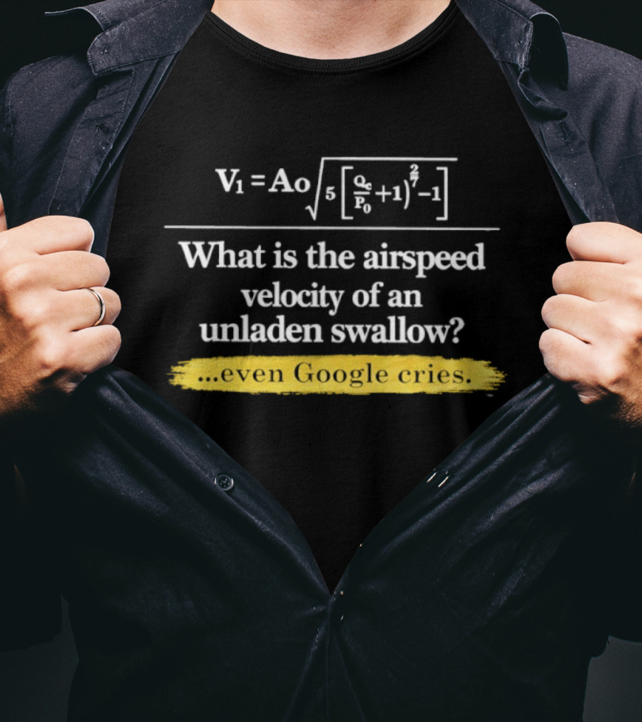V1 Ao Formula What Is The Airspeed Velocity Of An Unladen Swallow Even Google Cries T-Shirt