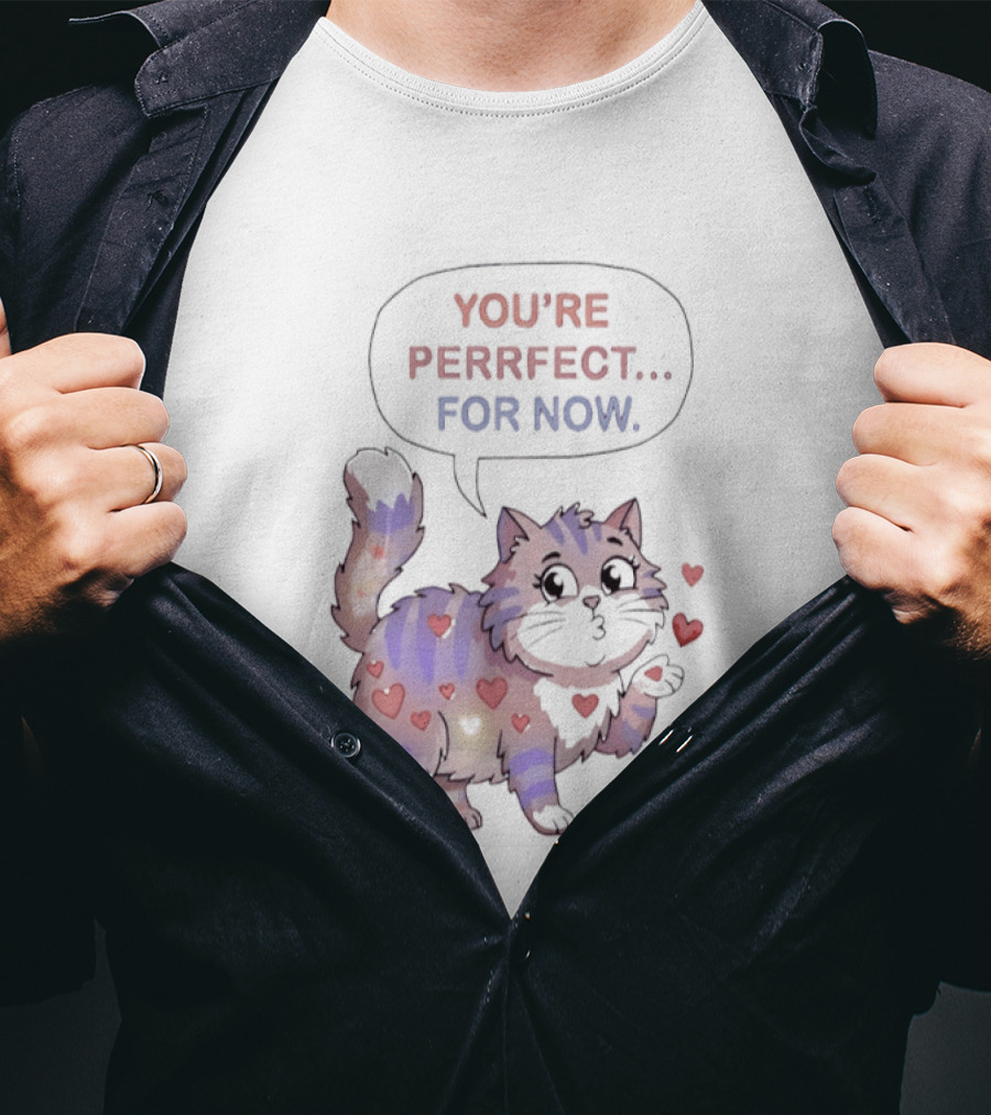 You're Perrfect For Now Love Cat Hearts T-Shirt