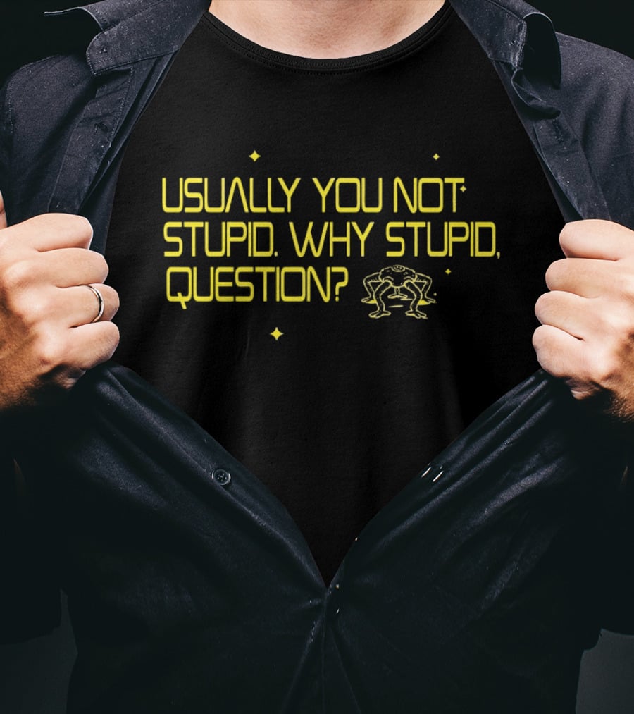 Usually You Not Stupid Why Stupid Question Project Hail Mary T-Shirt