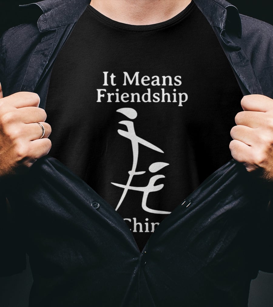 It Means Friendship In Chinese Inappropriate T-Shirt