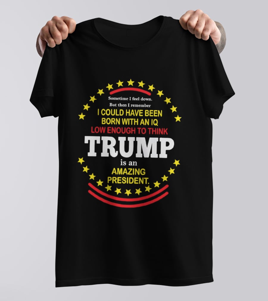 Sometime I Feel Down But Then I Remember I Could Have Been Born With An IQ Low Enough To Think Trump Is An Amazing President T-Shirt