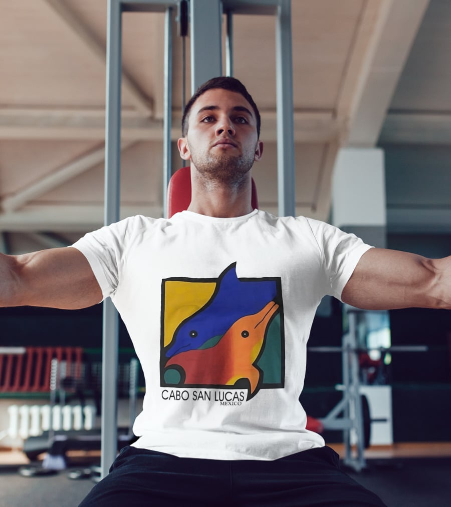 Cabo San Lucas Dolphin Colorful Art Mexico T-Shirt