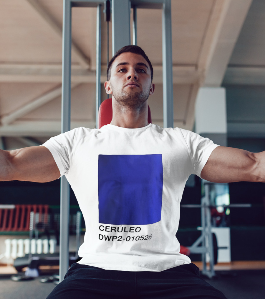 Ceruleo DWP2 010526 T-Shirt