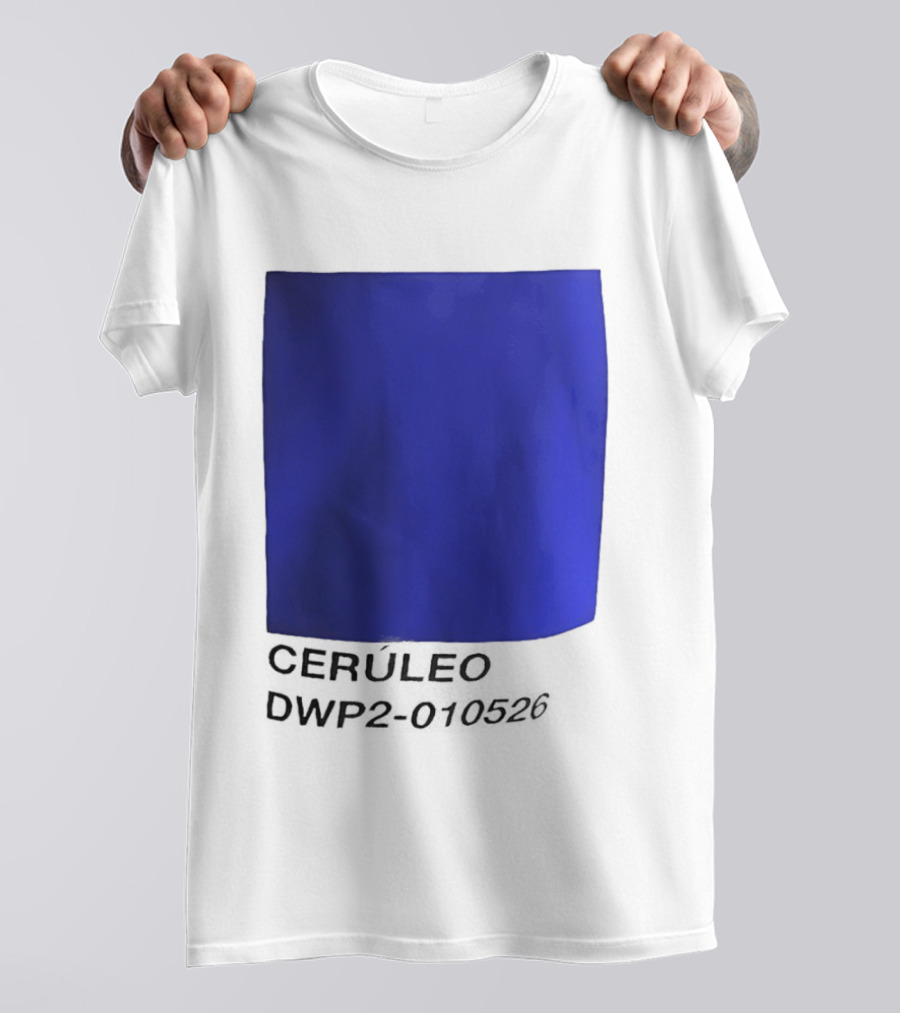 Ceruleo DWP2 010526 T-Shirt