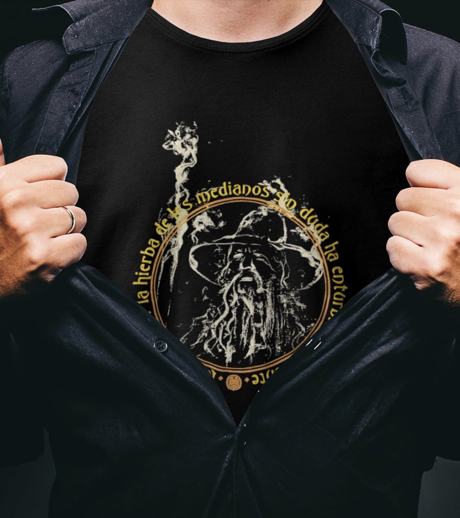 Gandalf Tu Pasion Por La Hierba De Los Medianos Sin Duda Ha Enturbiado Tu Mente T-Shirt