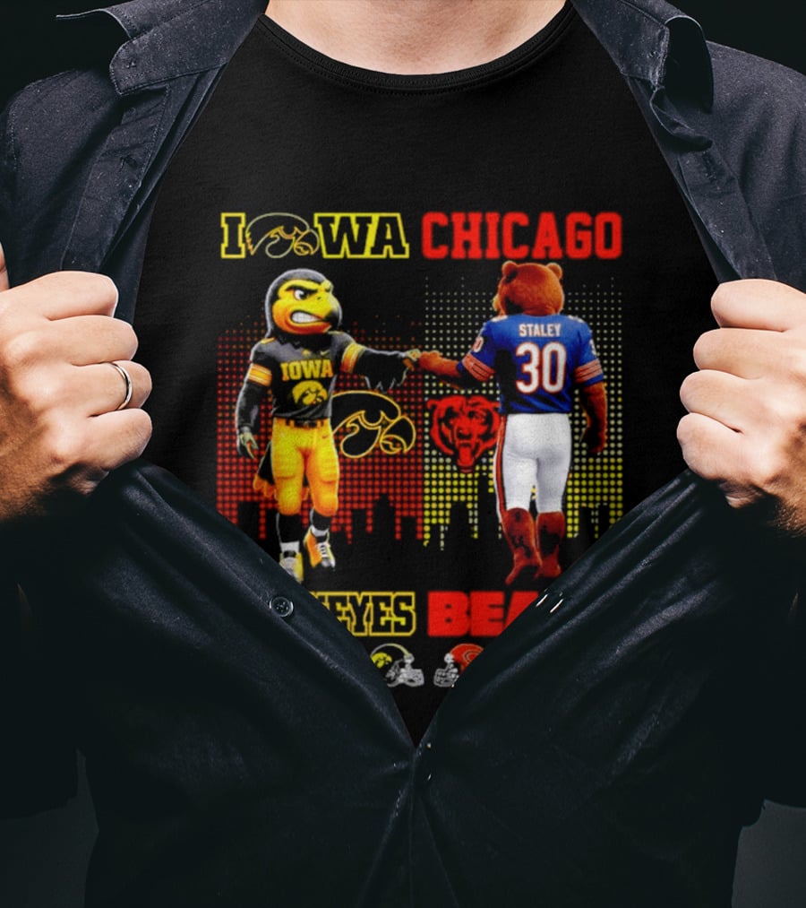 Iowa Hawkeyes Saturdays Chicago Bears Sundays City Skyline T-Shirt