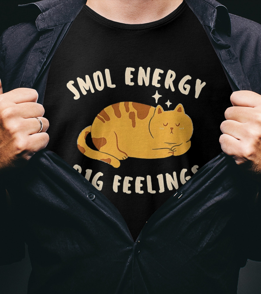 Smol Energy Big Feelings Cat Illustration With Sleepy Kitty Vibes T-Shirt