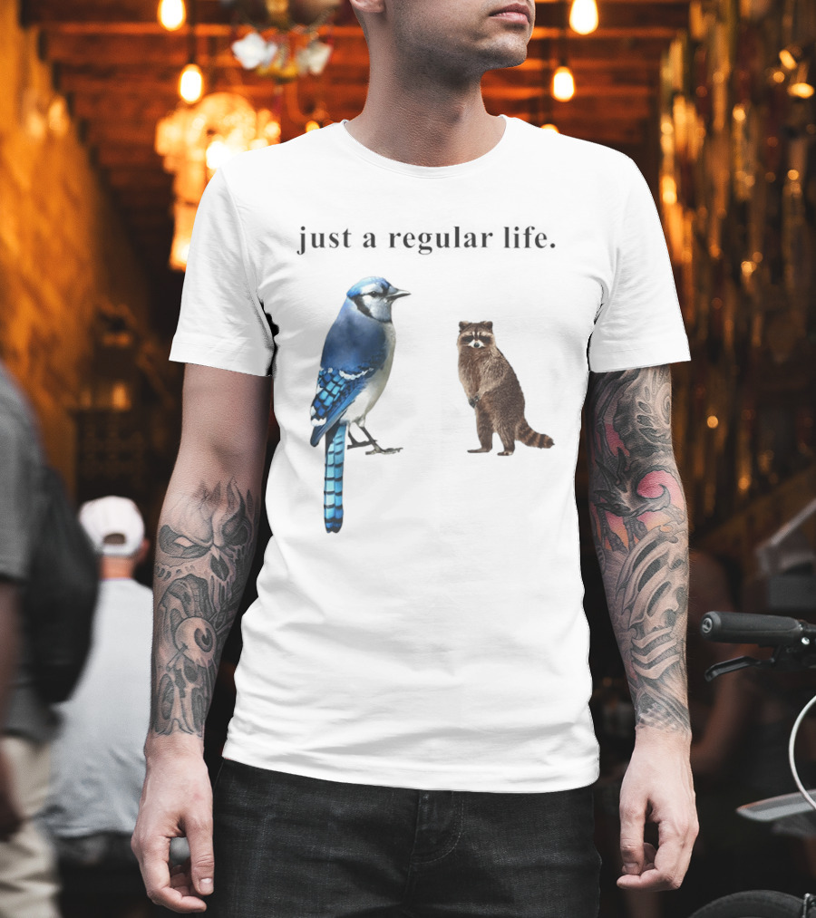 Just A Regular Life Raccoon And Bird Regular Show T-Shirt