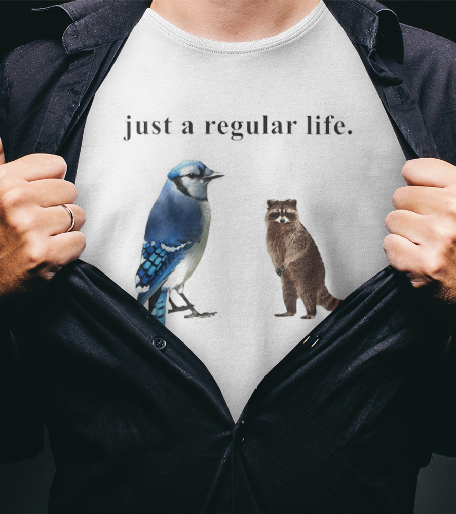 Just A Regular Life Raccoon And Bird Regular Show T-Shirt