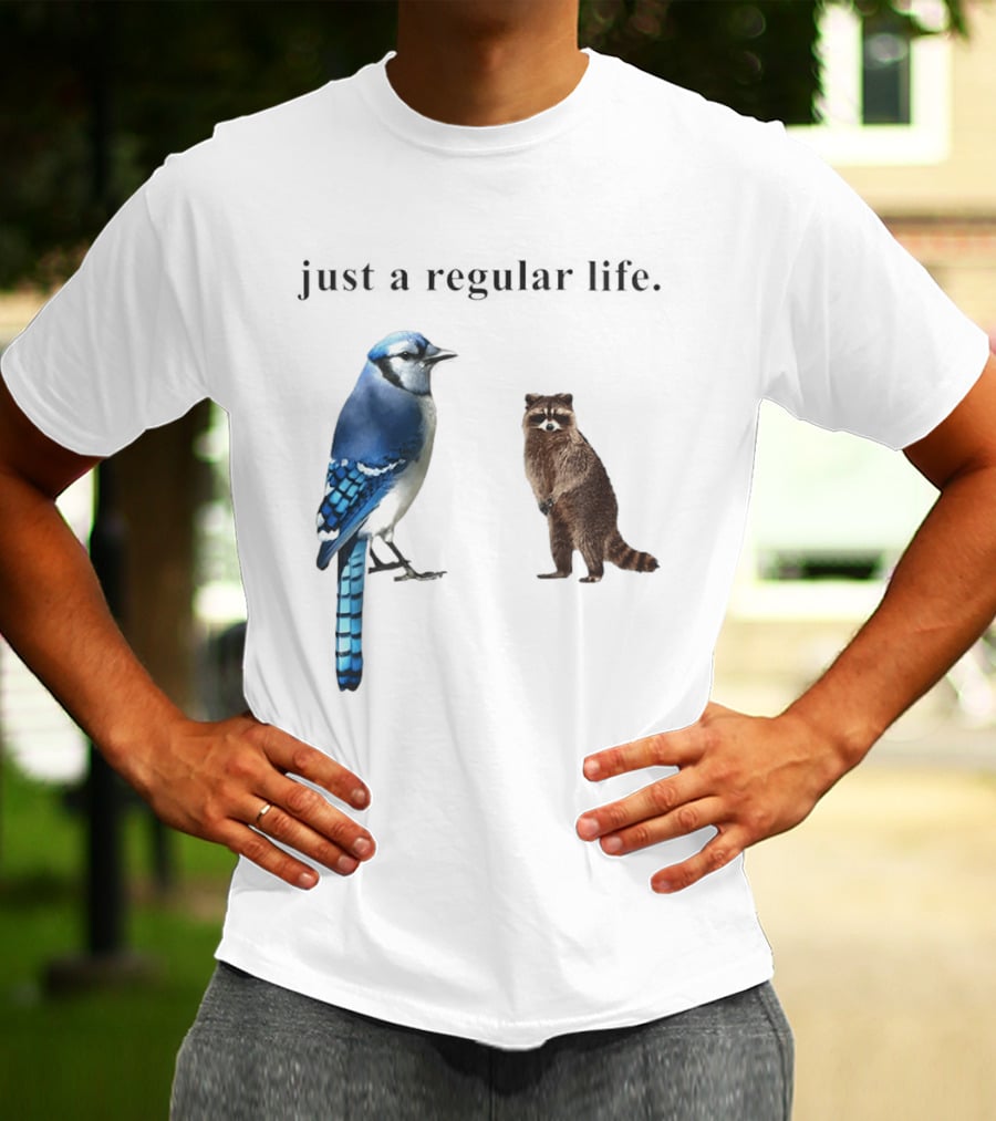 Just A Regular Life Raccoon And Bird Regular Show T-Shirt