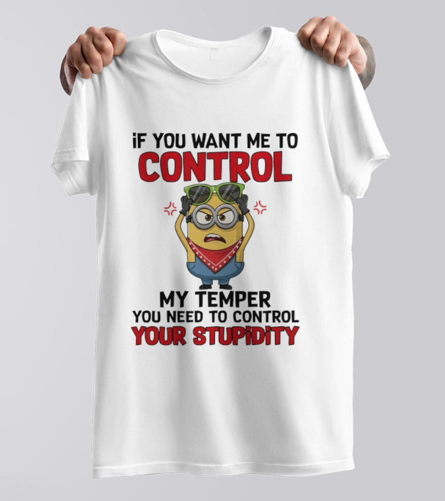 Grumpy Minion Control My Temper Control Your Stupidity T-Shirt
