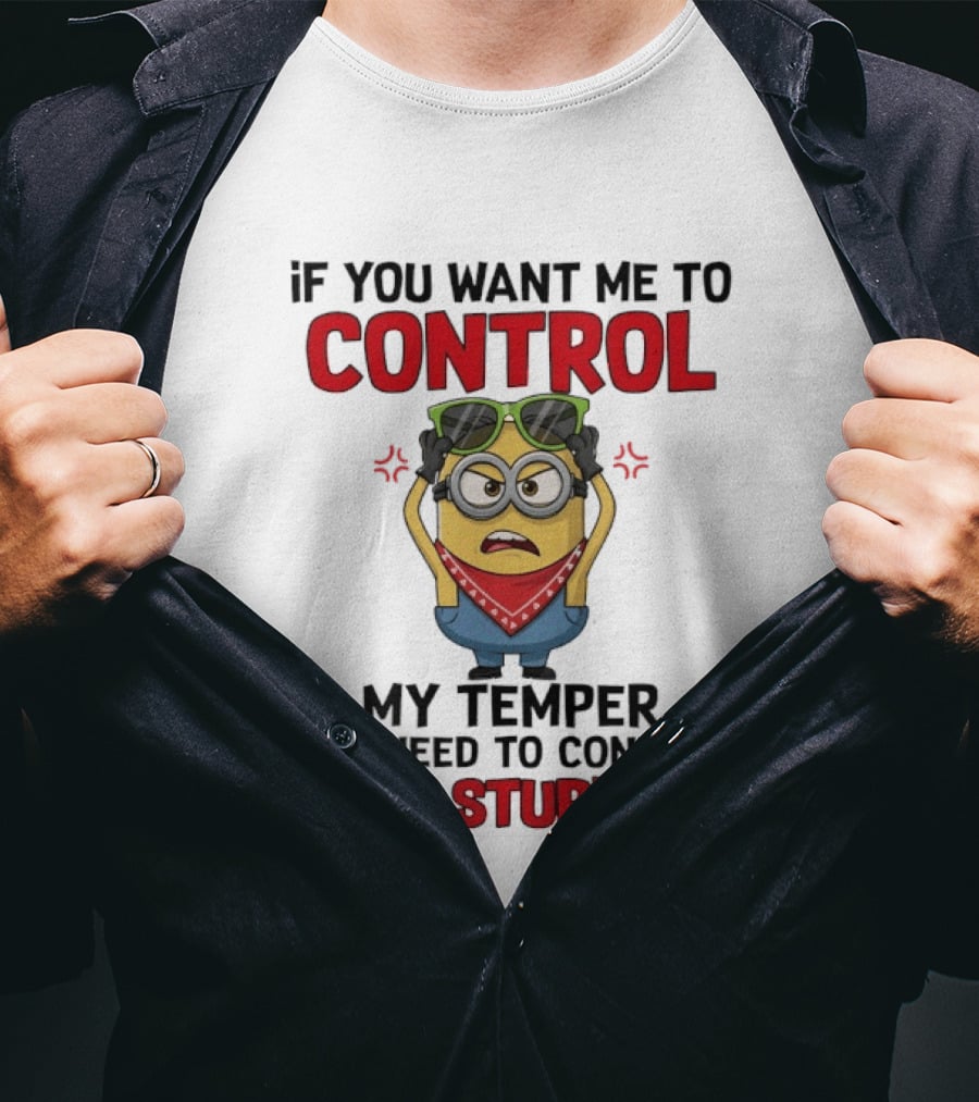 Grumpy Minion Control My Temper Control Your Stupidity T-Shirt