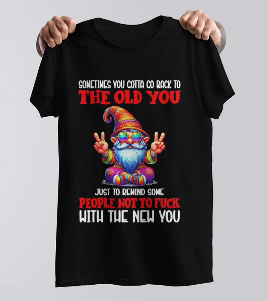 Sometimes You Gotta Go Back To The Old You Just To Remind Some People Not To Fuck With The New You T-Shirt