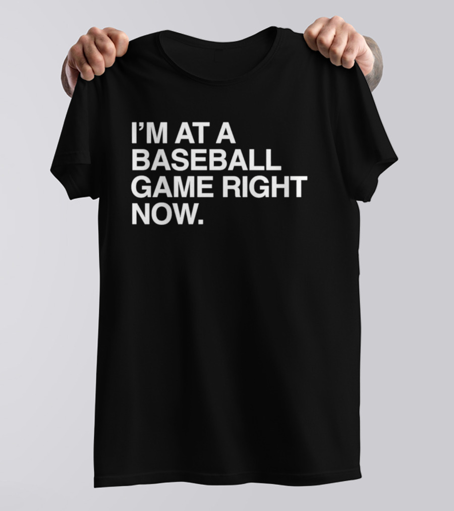 I'm At A Baseball Game Right Now T-Shirt