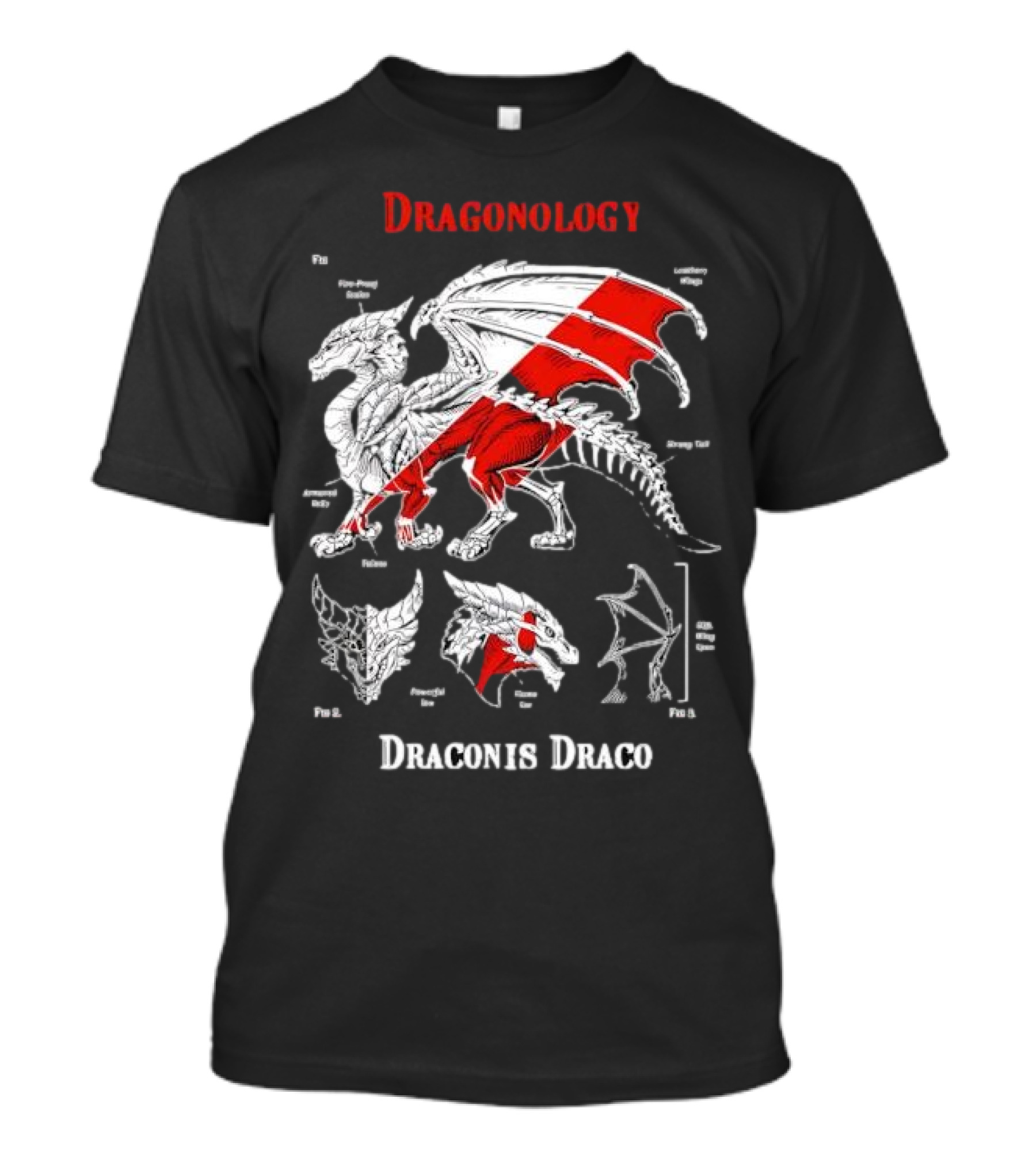 Dragonology Draconis Draco Anatomy Diagram Dragon Study T-Shirt