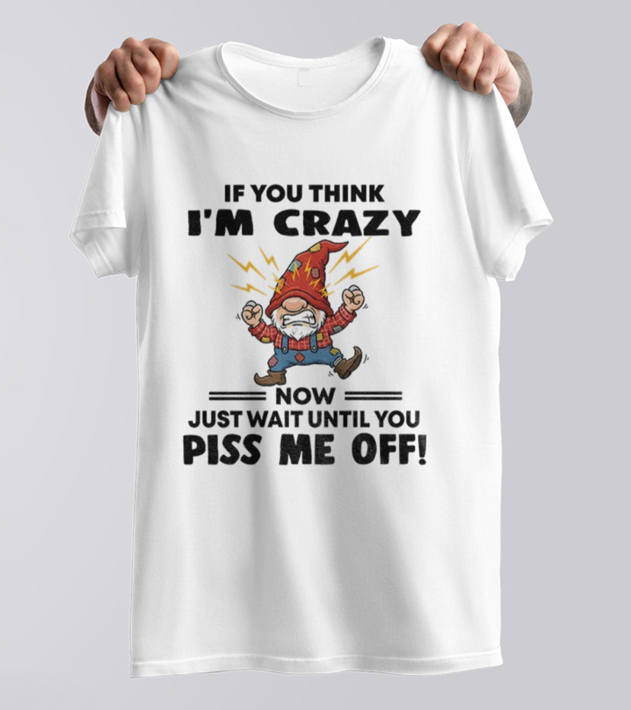 If You Think I'm Crazy Now Just Wait Until You Piss Me Off Grumpy Gnome Lightning Hat T-Shirt