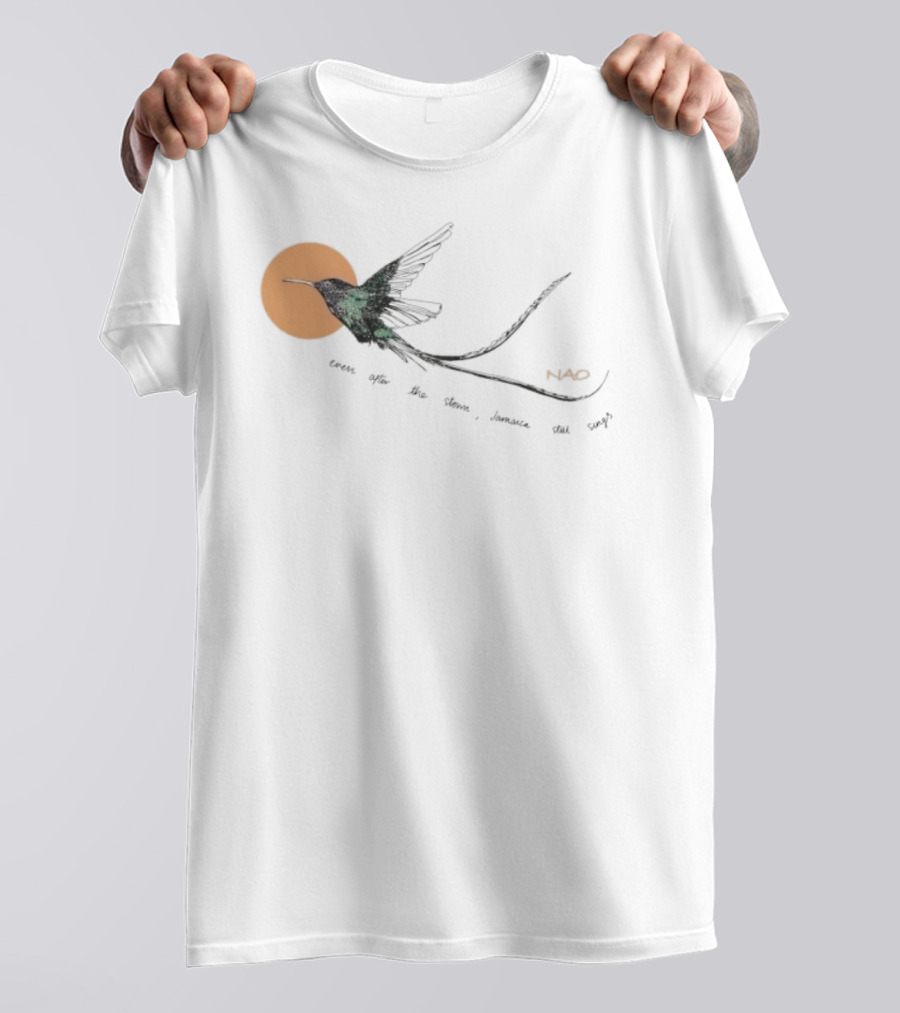 Nao X Hurricane Relief Even Often The Storm Jamaica Still Sings Bird T-Shirt