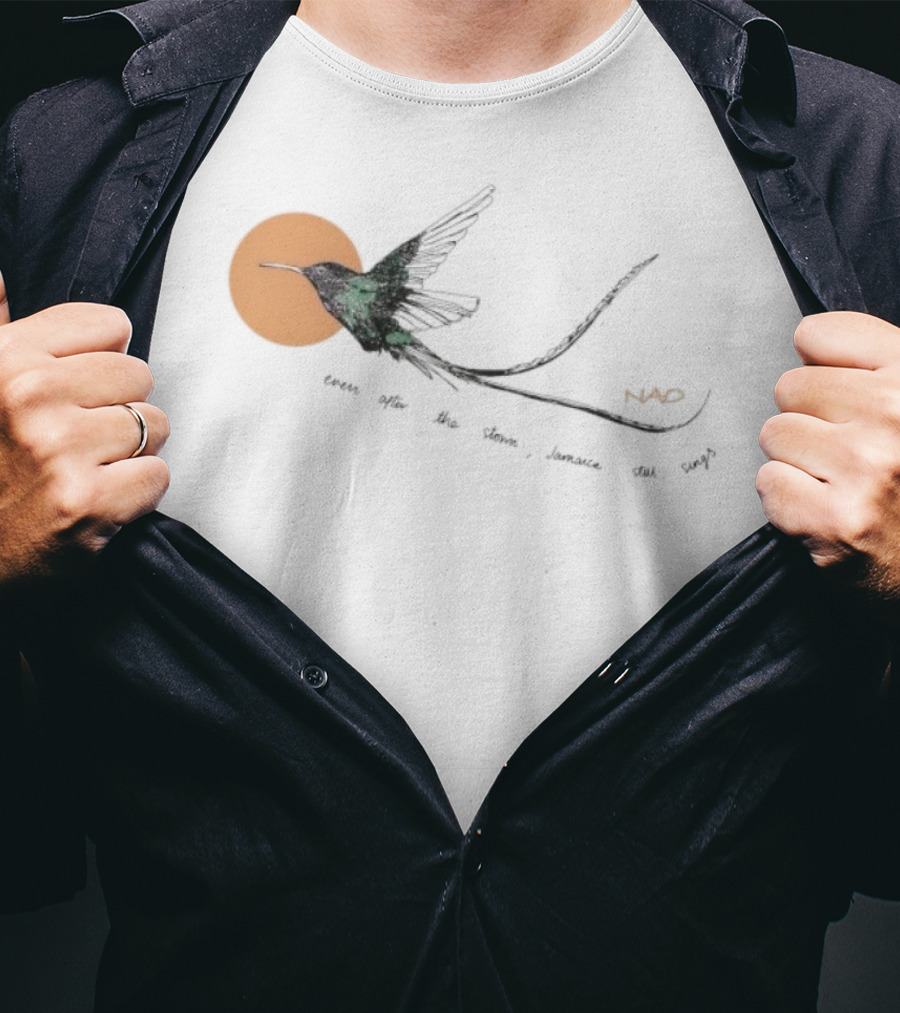 Nao X Hurricane Relief Even Often The Storm Jamaica Still Sings Bird T-Shirt