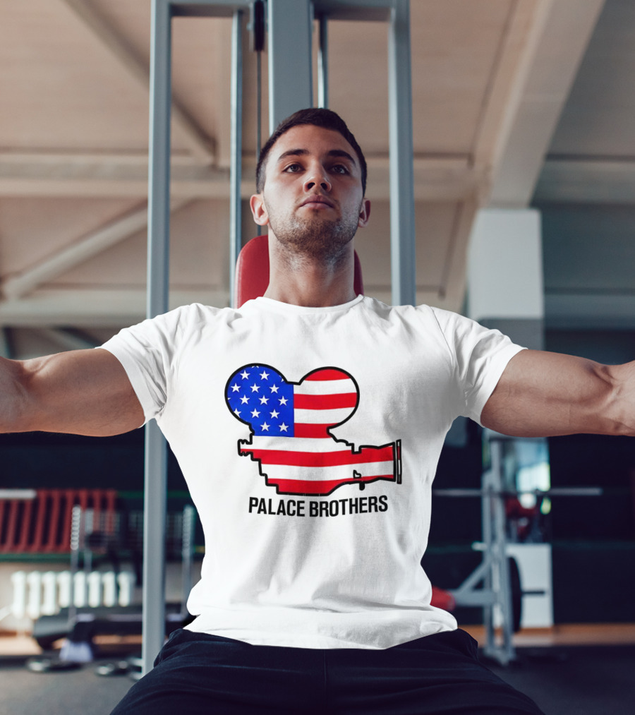 Palace Brothers American Flag Camera T-Shirt