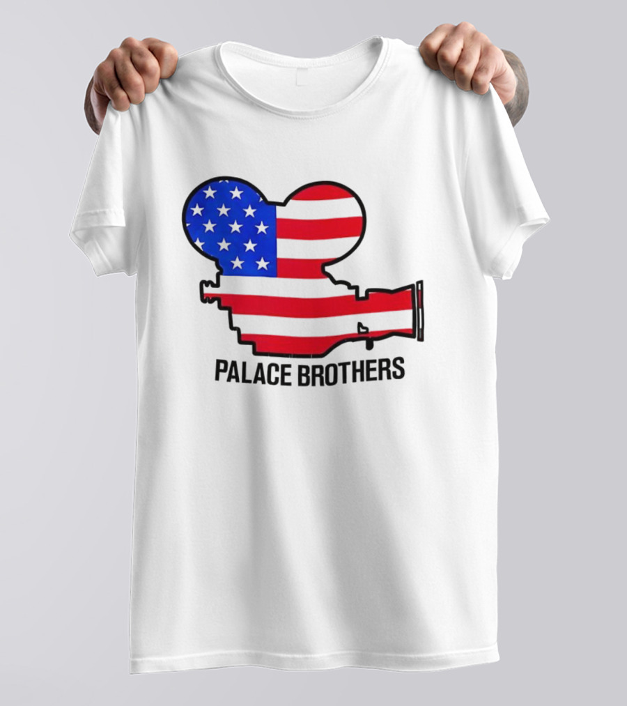 Palace Brothers American Flag Camera T-Shirt
