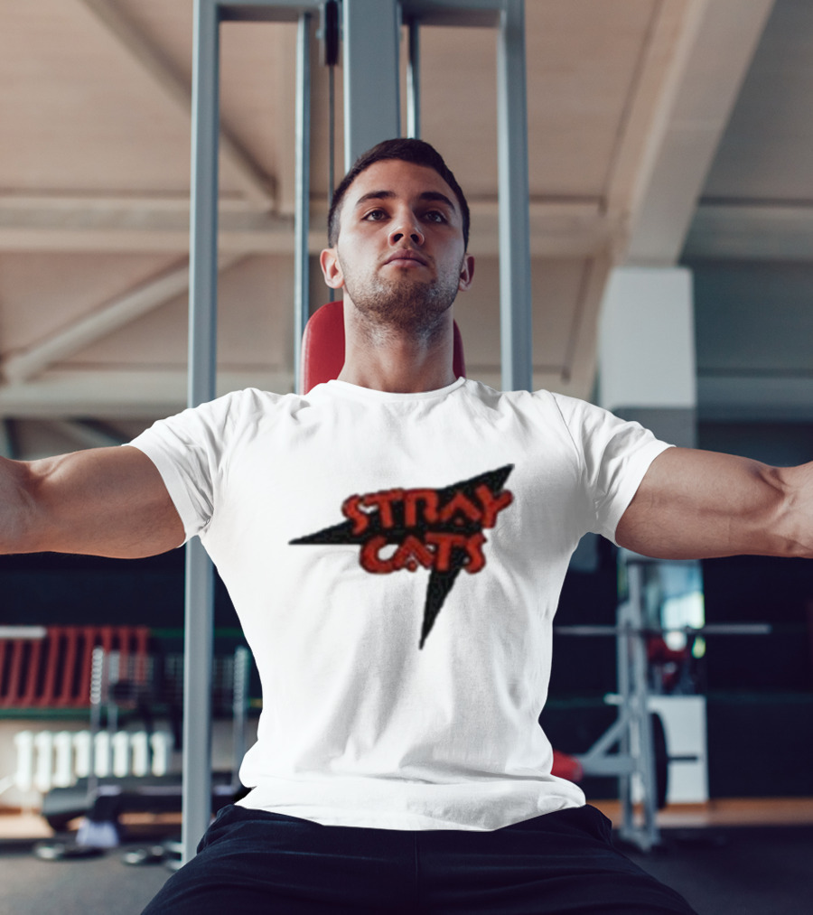 Stray Cats Rockabilly Band Red Text With Black Starburst Background T-Shirt