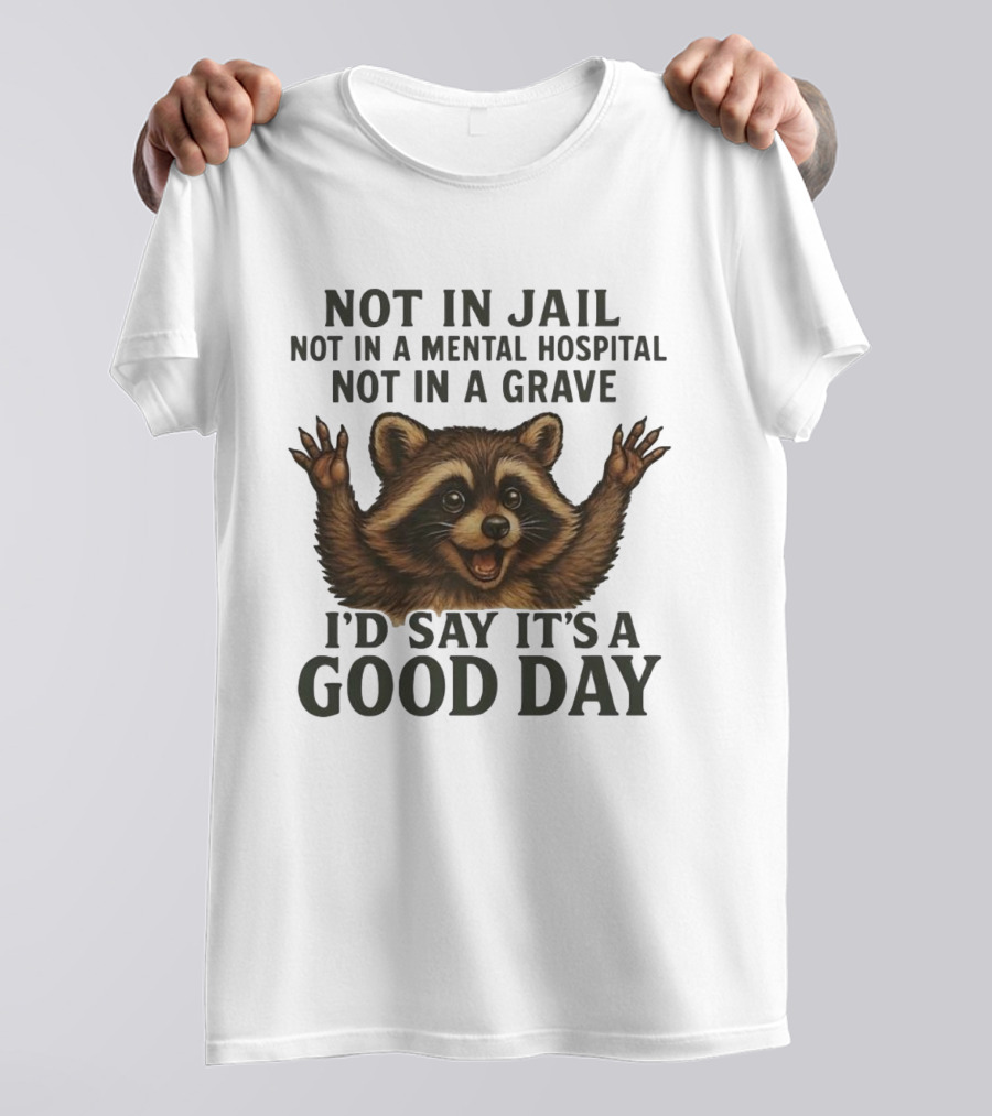Raccoon Not In Jail Not In A Mental Hospital Not In A Grave I’d Say It’s A Good Day T-Shirt