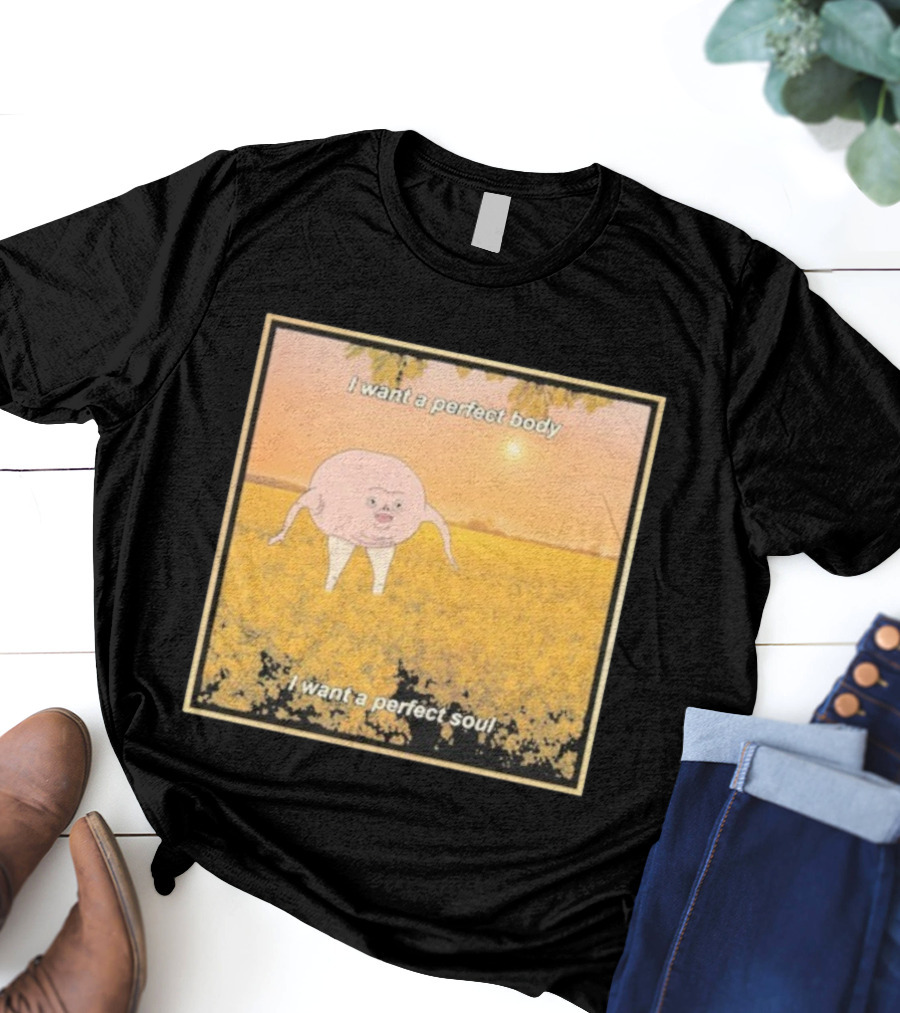 I Want A Perfect Body I Want A Perfect Soul Sunset Parody T-Shirt