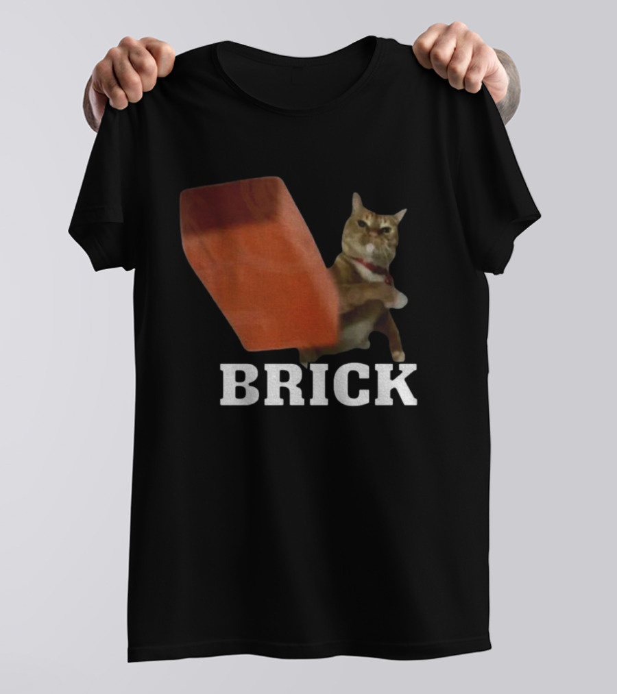 Funny Cat Brick Throw Meme T-Shirt