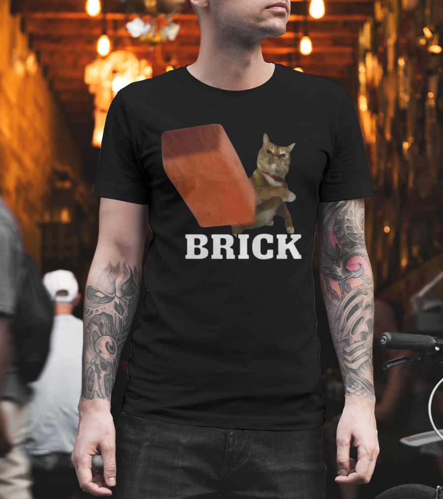 Funny Cat Brick Throw Meme T-Shirt